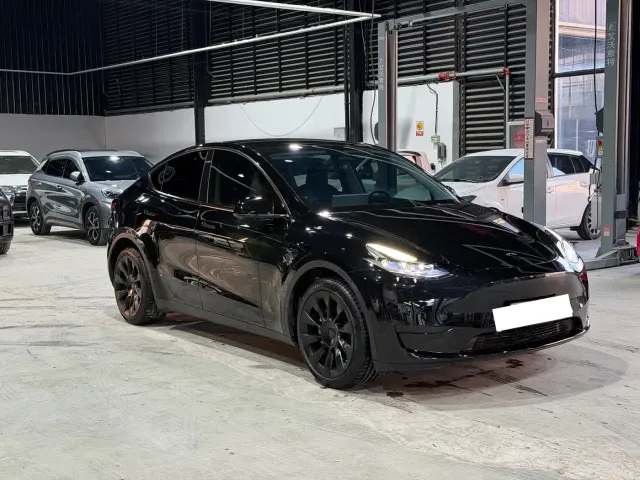 Tesla Model Y — Фото автомобиля 3