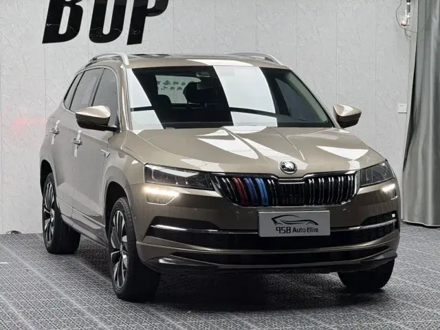 Skoda Karoq — Фото автомобиля 3