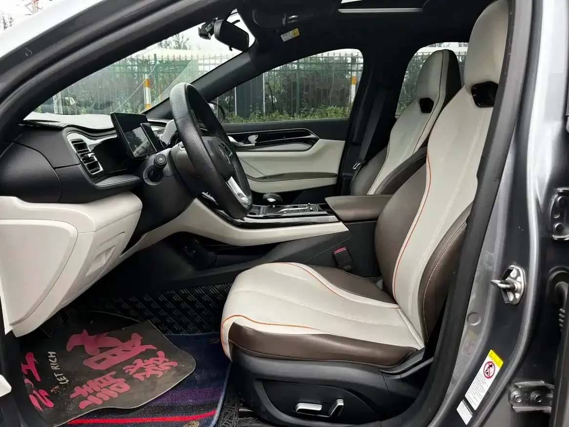 BYD Qin PLUS 2023 Champion Edition DM-i 55KM Surpassing — Фото автомобиля 11