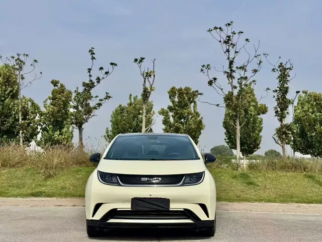 BYD Dolphin — Фото автомобиля 2