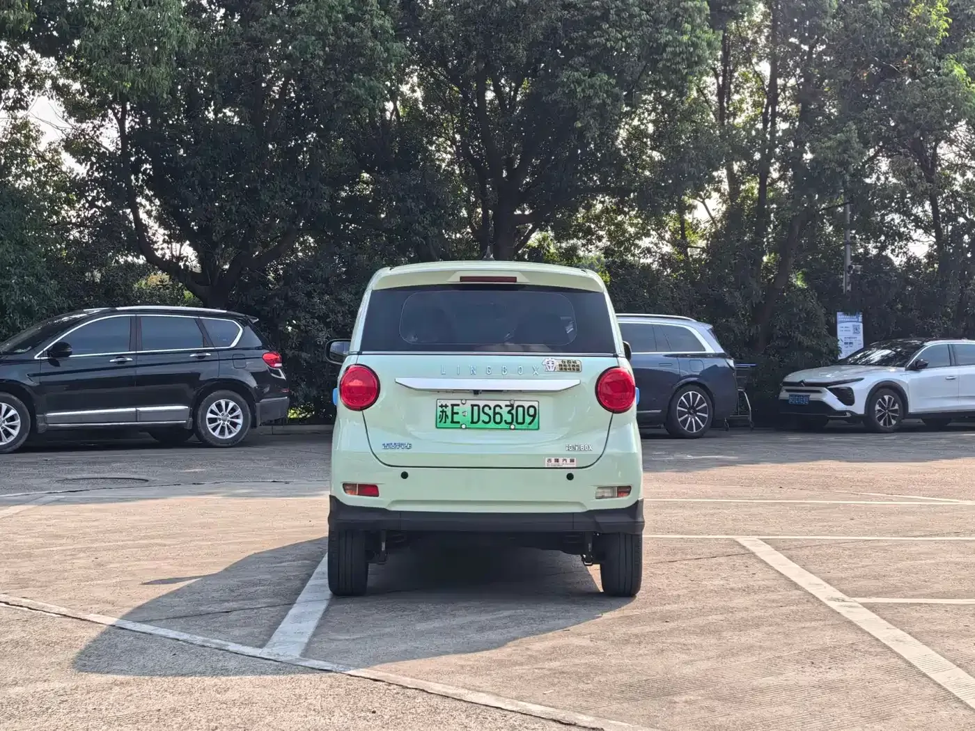 Lingbao Auto Lingbox BOX 2022 Cai Wenji Edition — Фото автомобиля 5