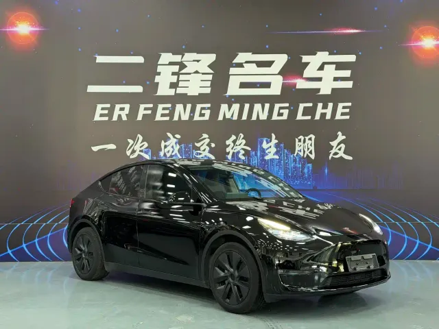 Tesla Model Y — Фото автомобиля 3