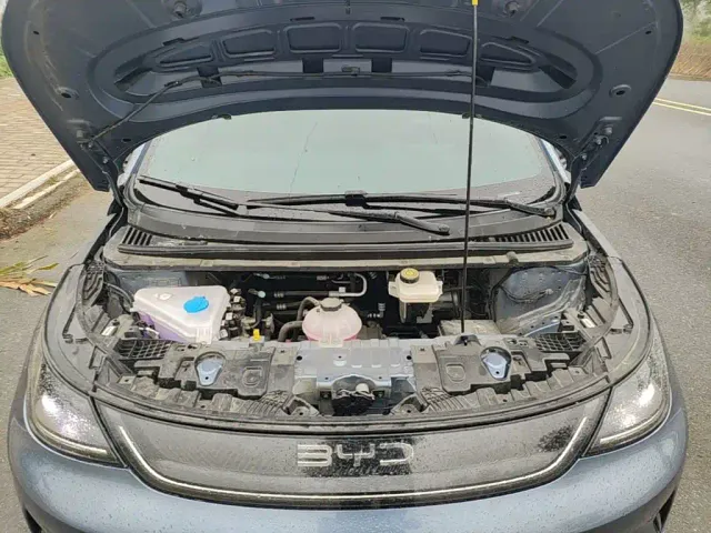 BYD Dolphin 2025 Smart Drive Edition 410km Fashion Version — Фото автомобиля 19