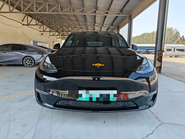 Tesla Model Y — Фото автомобиля 2