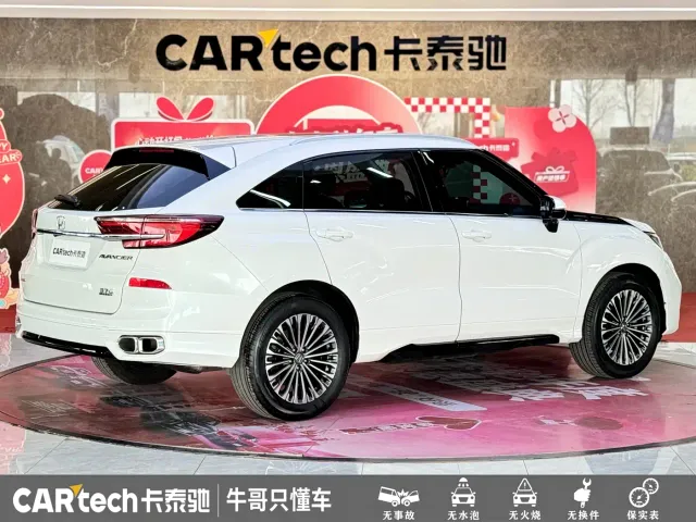 Honda Avancier — Фото автомобиля 25