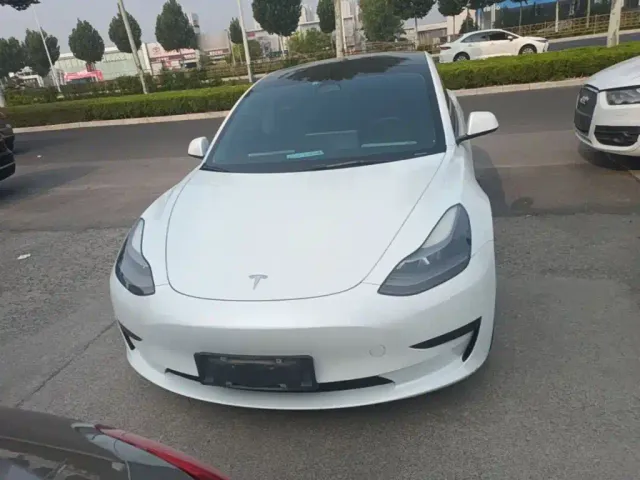 Tesla Model 3 2021 Standard Range Rear-Wheel Drive Upgrade 3D6 — Фото автомобиля 2