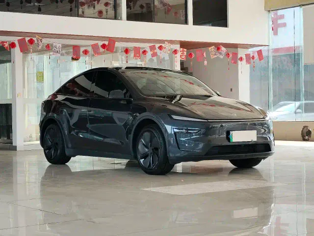 Tesla Model Y — Фото автомобиля 3