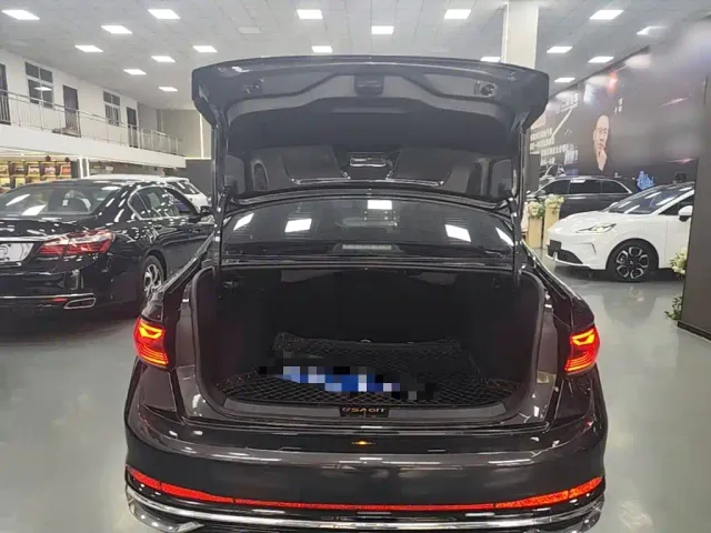 Volkswagen Sagitar — Фото автомобиля 18