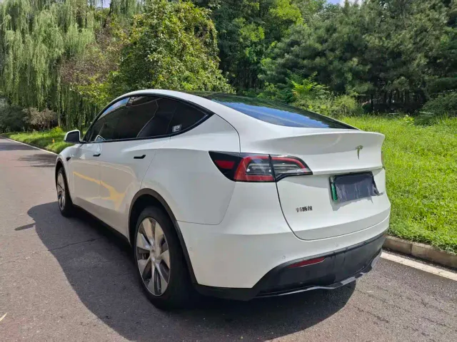 Tesla Model Y — Фото автомобиля 3