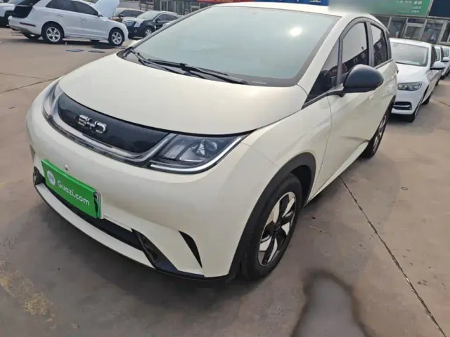 Фотография автомобиля — BYD Dolphin