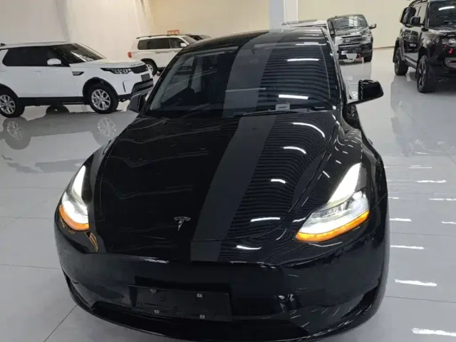 Tesla Model Y — Фото автомобиля 2