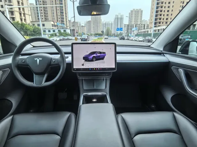 Tesla Model Y — Фото автомобиля 9