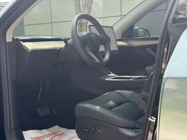 Tesla Model Y — Фото автомобиля 13