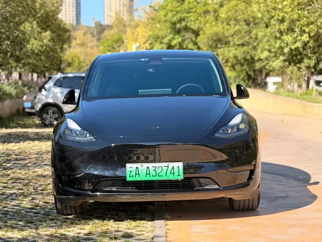 Tesla Model Y — Фото автомобиля 2