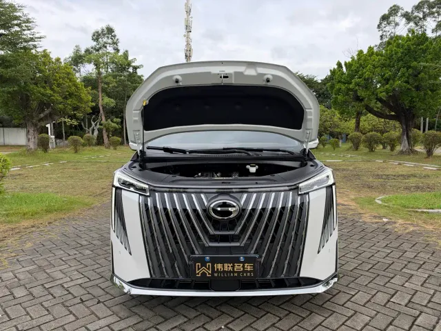 GAC Trumpchi M8 — Фото автомобиля 20