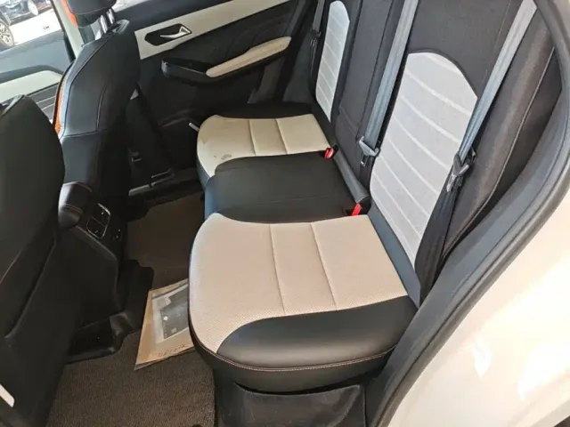 Haval Chitu — Фото автомобиля 16