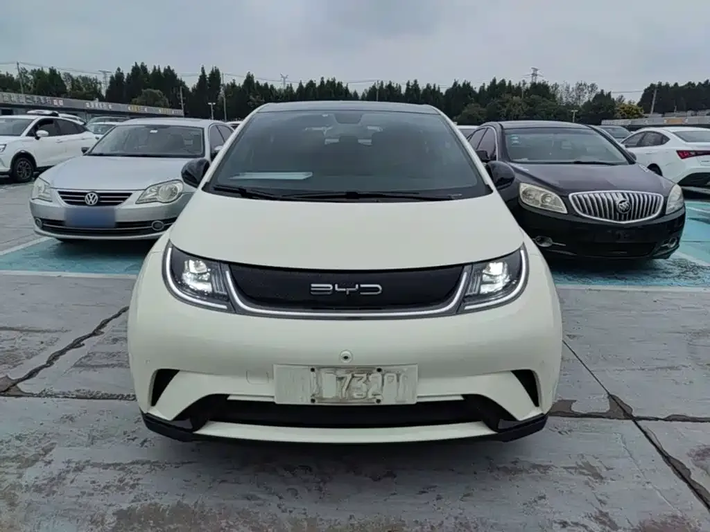 BYD Dolphin 2023 420km Fashion Edition — Фото автомобиля 2