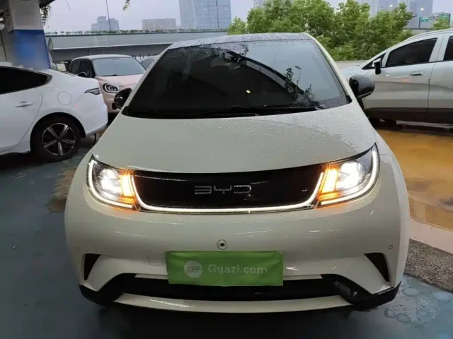 BYD Dolphin — Фото автомобиля 2