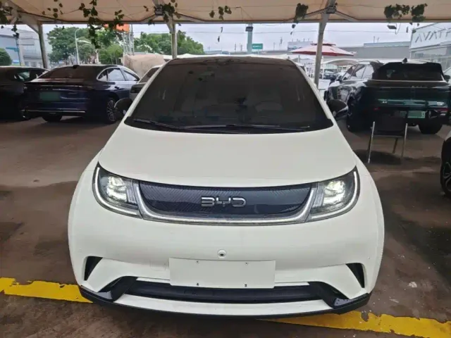 BYD Dolphin — Фото автомобиля 2