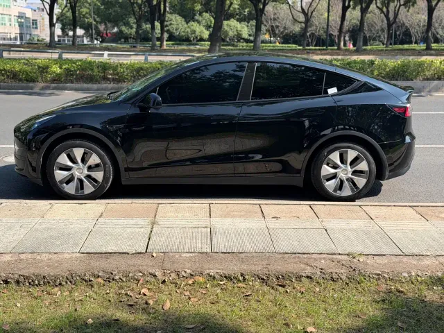 Tesla Model Y — Фото автомобиля 4