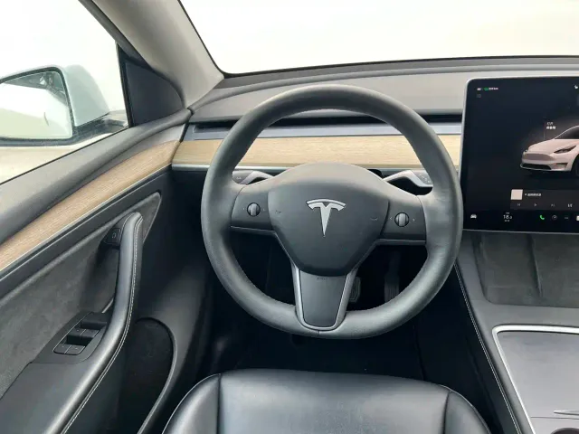 Tesla Model Y — Фото автомобиля 11