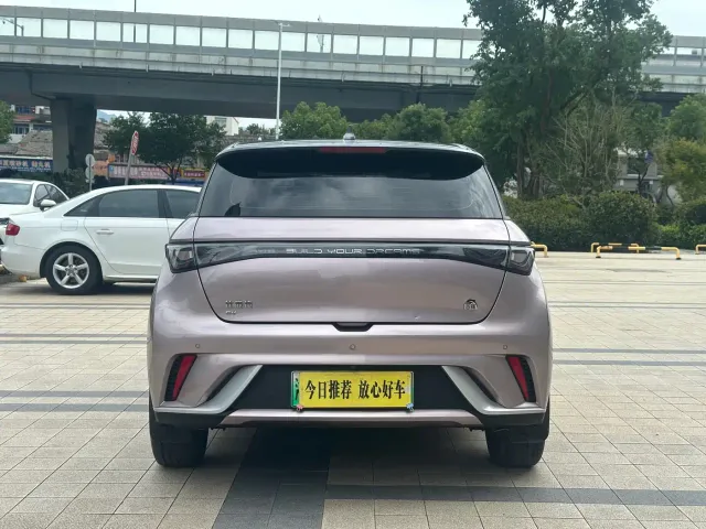 BYD Dolphin — Фото автомобиля 6