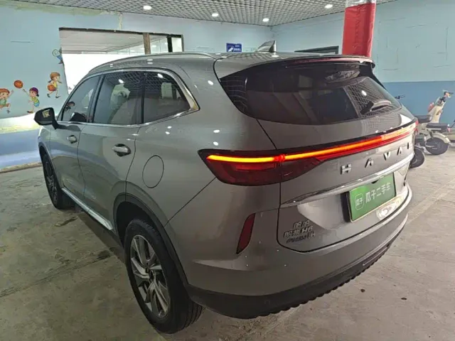 Haval Haval H6 New Energy 2023 DHT-PHEV 55KM Joy Ride Edition — Фото автомобиля 4