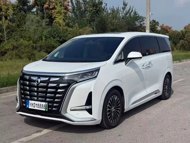Фотография автомобиля — Denza D9