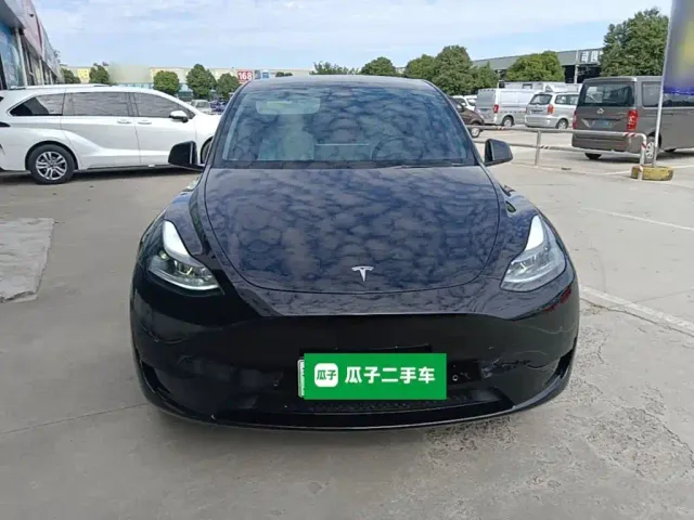 Tesla Model Y — Фото автомобиля 2