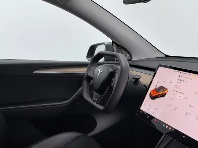 Tesla Model Y — Фото автомобиля 22