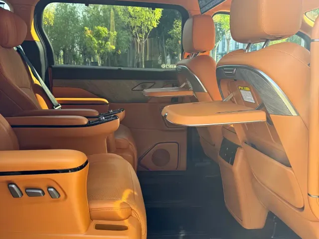 Wey Alpine — Фото автомобиля 16
