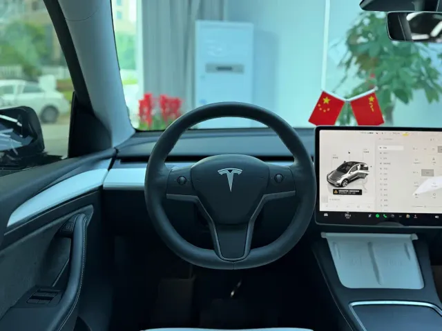 Tesla Model Y — Фото автомобиля 11