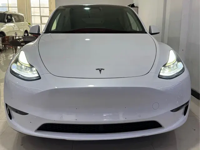 Tesla Model Y — Фото автомобиля 2