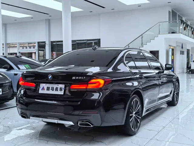 BMW 5 Series — Фото автомобиля 15