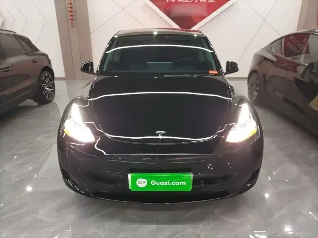 Tesla Model Y — Фото автомобиля 2