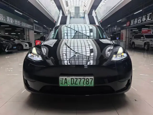 Tesla Model Y — Фото автомобиля 2