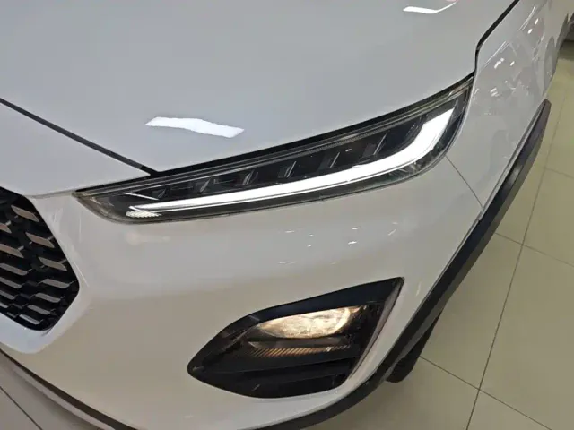 Chery Tiggo 3x — Фото автомобиля 23