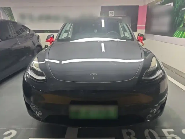 Tesla Model Y — Фото автомобиля 2