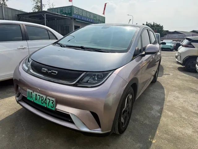 Фотография автомобиля — BYD Dolphin