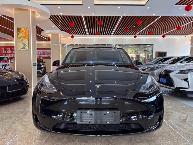 Tesla Model Y — Фото автомобиля 2