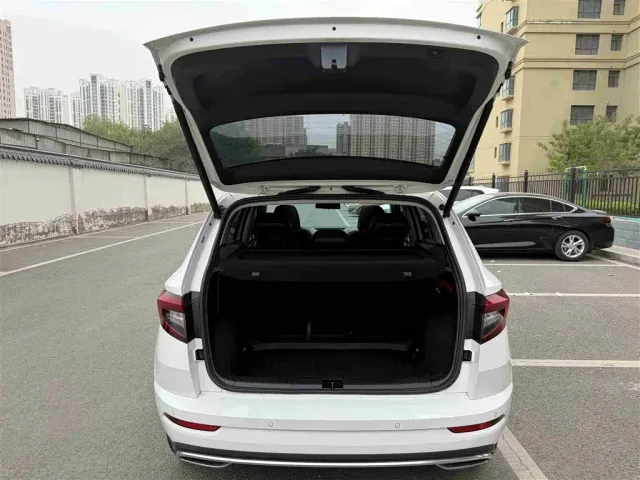Skoda Karoq — Фото автомобиля 12