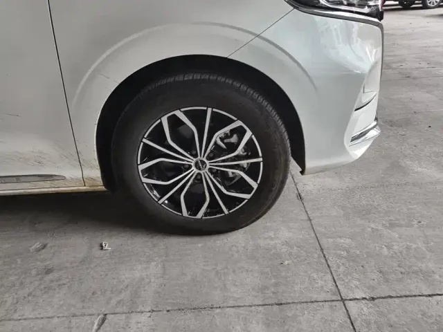 Roewe Roewe iMAX8 EV 2025 1.5T DMH Land Luxury Edition — Фото автомобиля 6