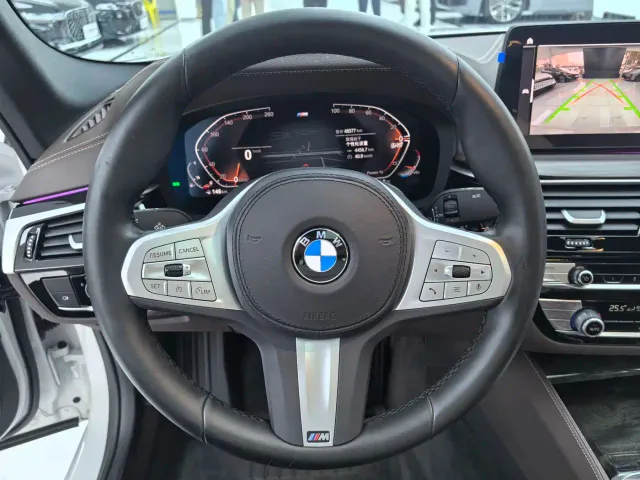 BMW 5 Series — Фото автомобиля 8