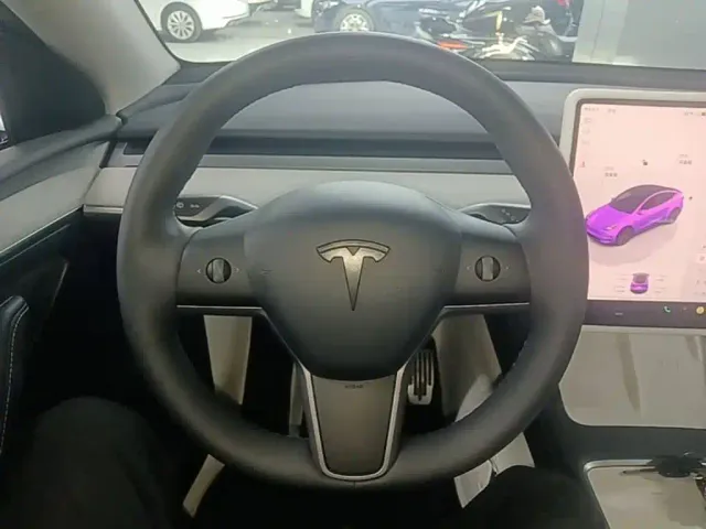Tesla Model Y — Фото автомобиля 10