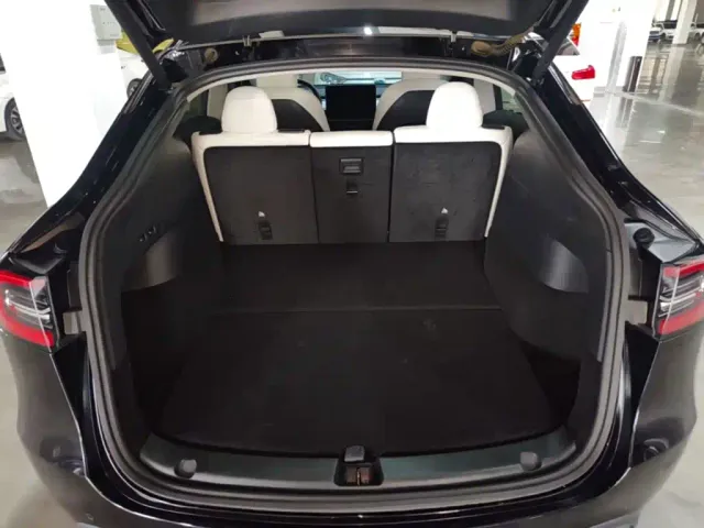 Tesla Model Y 2021 Facelift II Long Range AWD — Фото автомобиля 18
