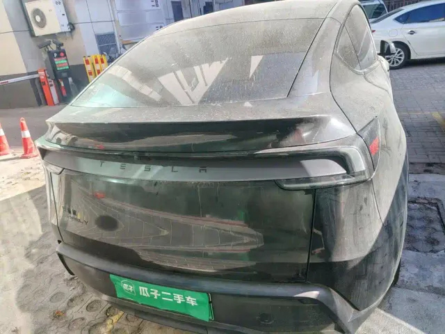 Tesla Model Y — Фото автомобиля 3