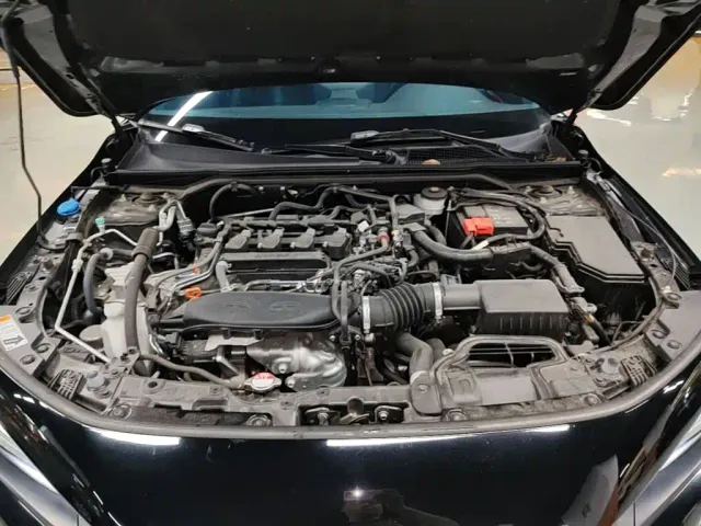 Honda Civic — Фото автомобиля 19