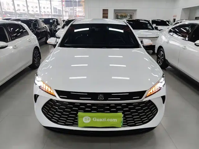 BYD Qin PLUS — Фото автомобиля 2