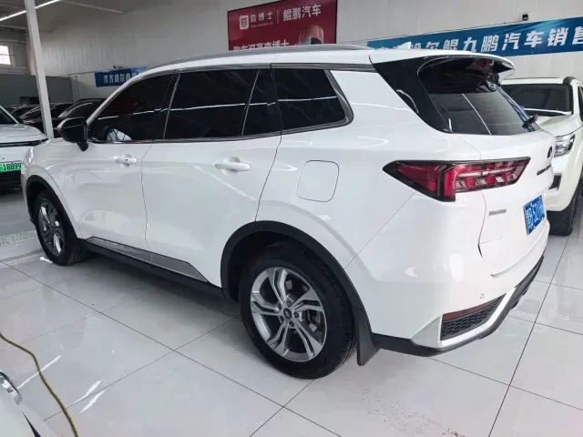 Ford Lingrui — Фото автомобиля 5