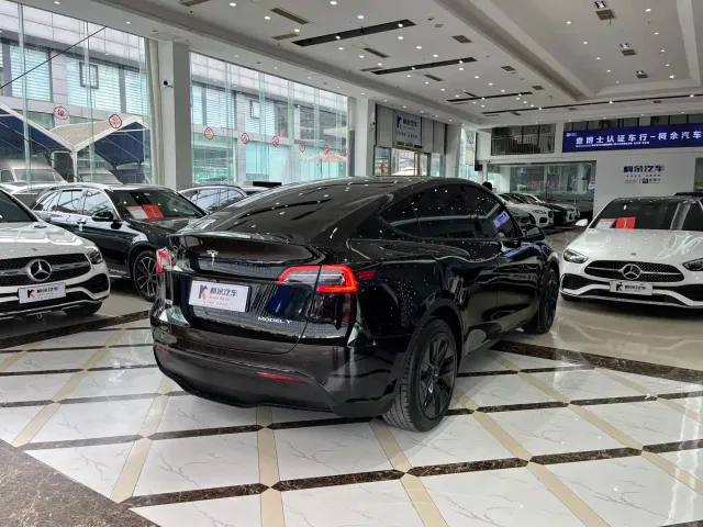 Tesla Model Y — Фото автомобиля 13
